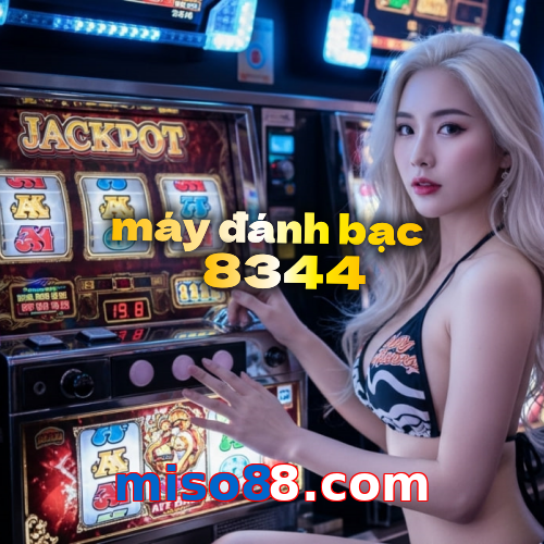miso88.com