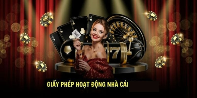 Giấy phép hoạt động