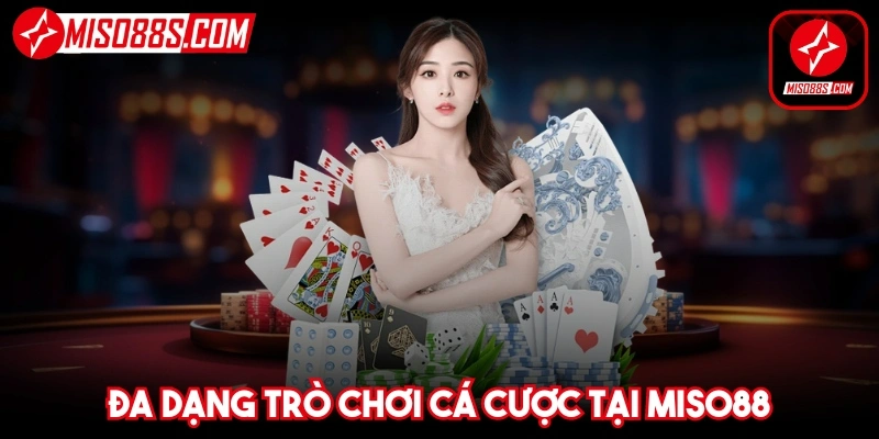 Đa dạng trò chơi cá cược để anh em lựa chọn dễ dàng hơn tại Miso88