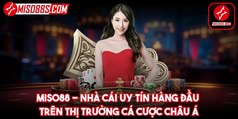 Miso88 - nhà cái uy tín hàng đầu trên thị trường cá cược châu Á