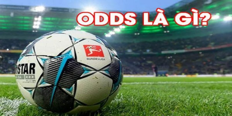 Tìm hiểu odds là gì?